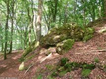 5 NSG Katzenstein